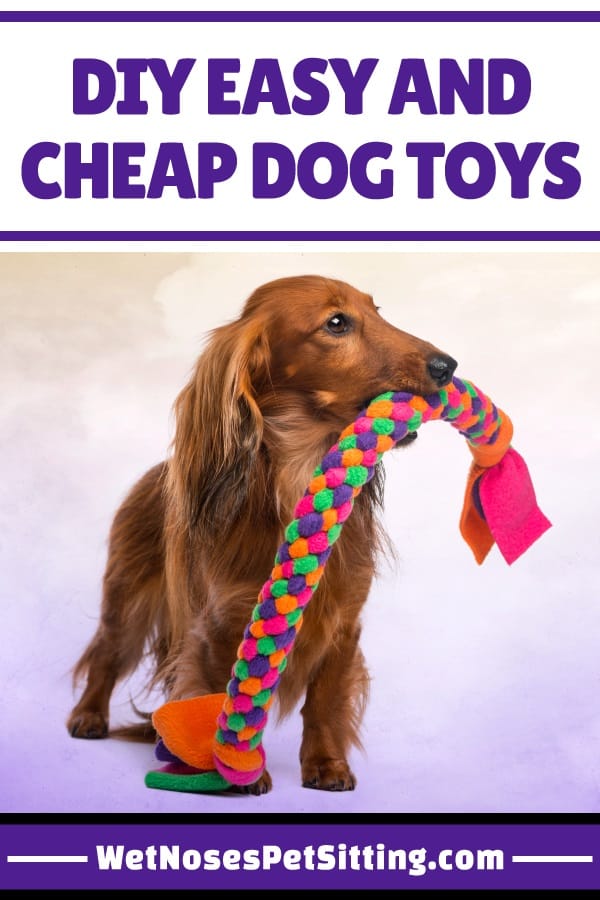 DIY Easy and Cheap Dog Toys - Wet Noses Pet Sitting