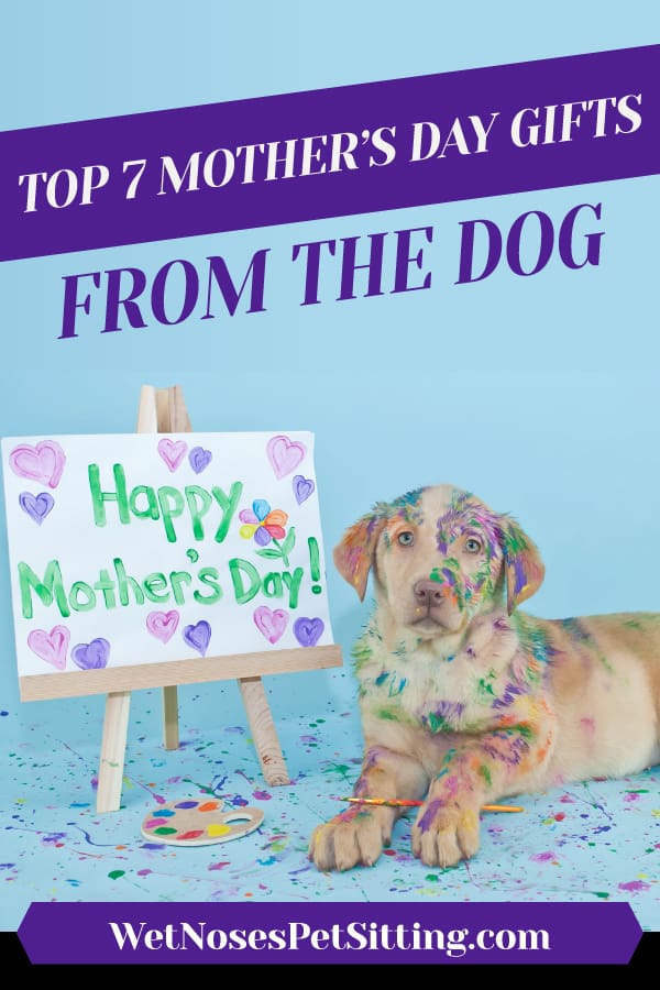 mothers day dog gifts
