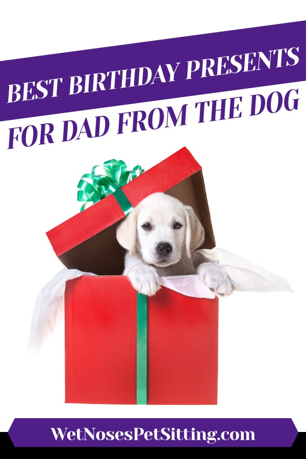 dog dad presents