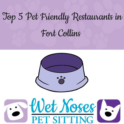 Top 5 Pet Friendly Restaurants in Fort Collins Wet Noses Pet Sitting