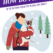 How Do I know If It Is Too Cold to Walk My Dog?_Header