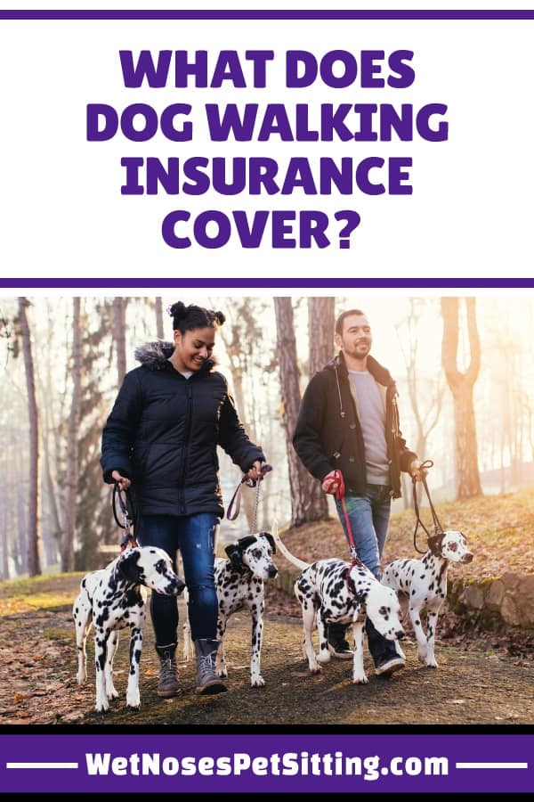 Do You Need Insurance for Dog Walking 