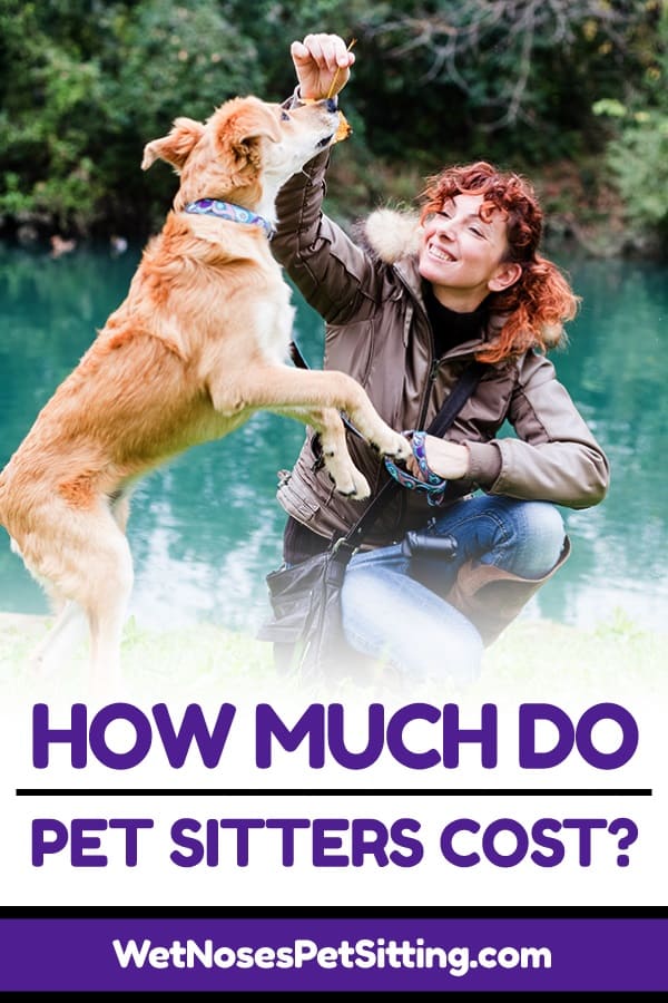 How Much Does a Pet Sitter Cost? Wet Noses Pet Sitters