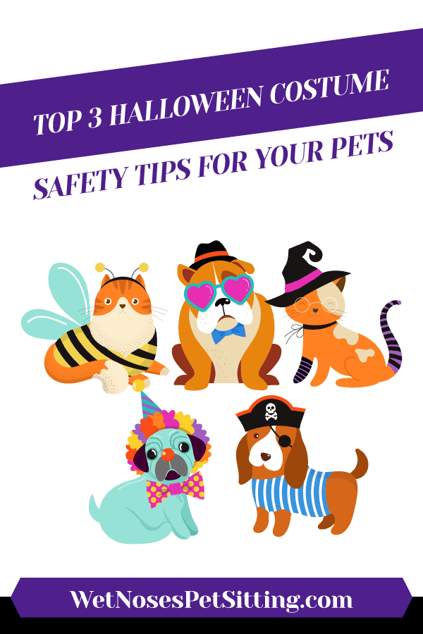 Top 3 Halloween Costume Safety Tips For Your Pets Header