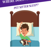 Where Does an Overnight Pet Sitter Sleep? Header