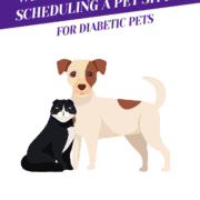 What To Consider When Scheduling a Pet Sitter for Diabetic Pets Header