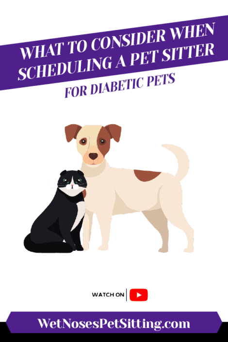 What To Consider When Scheduling a Pet Sitter for Diabetic Pets Header