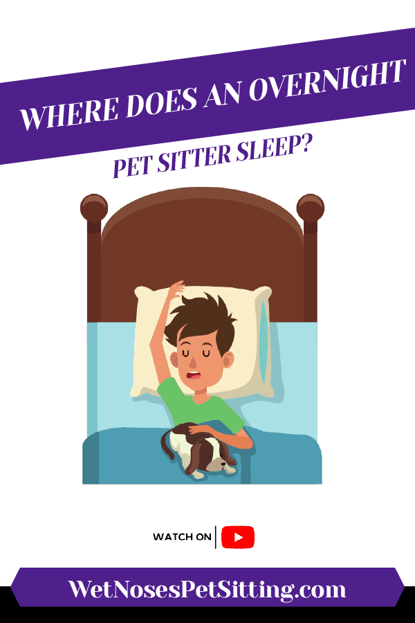 Where Does an Overnight Pet Sitter Sleep? Header