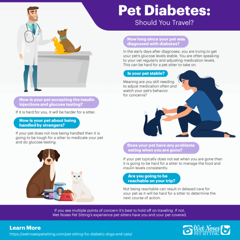 Pet Sitting for Diabetic Dogs and Cats
