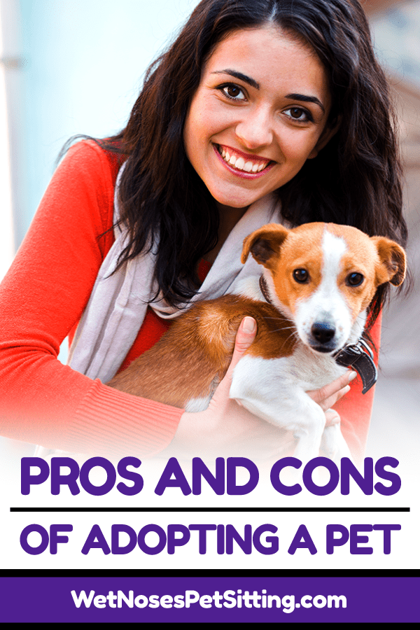 Pros and Cons of Adopting a Pet Wet Noses Pet Sitting
