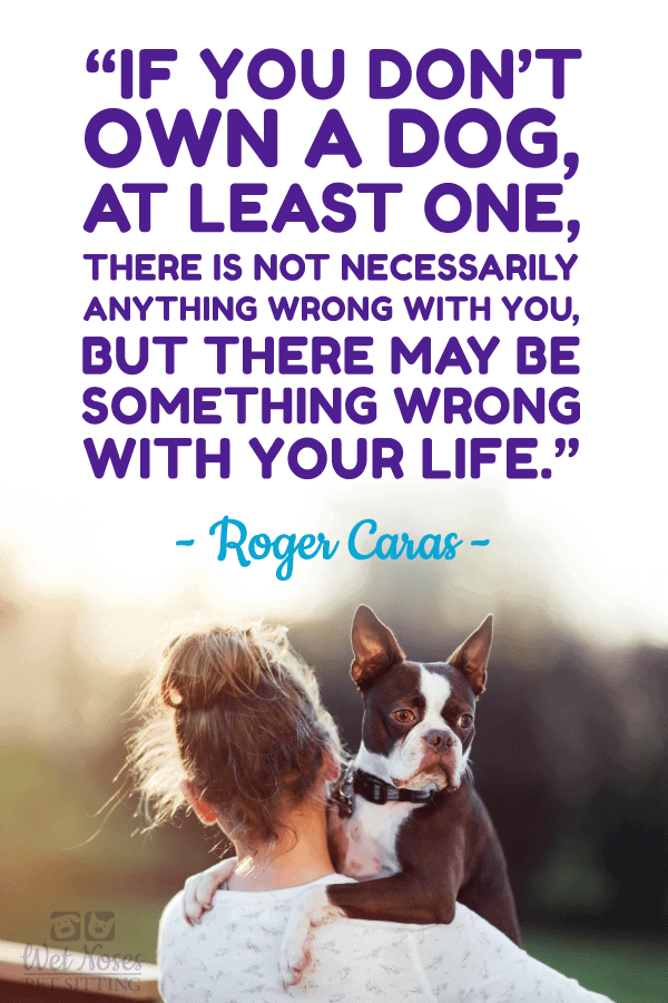 Best Dog and Cat Quotes - Wet Noses Pet Sitting