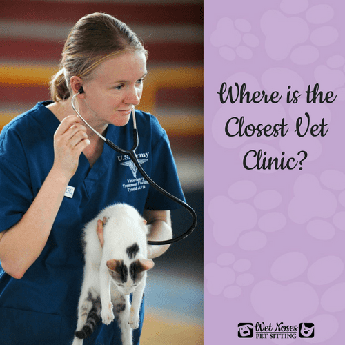 Closest Vet Clinic? - Wet Noses Pet Sitting