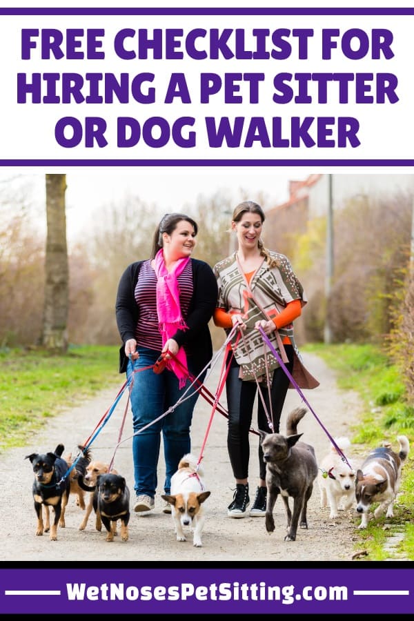 What Makes A Person A Great Dog Walker And Where Do You Find...  