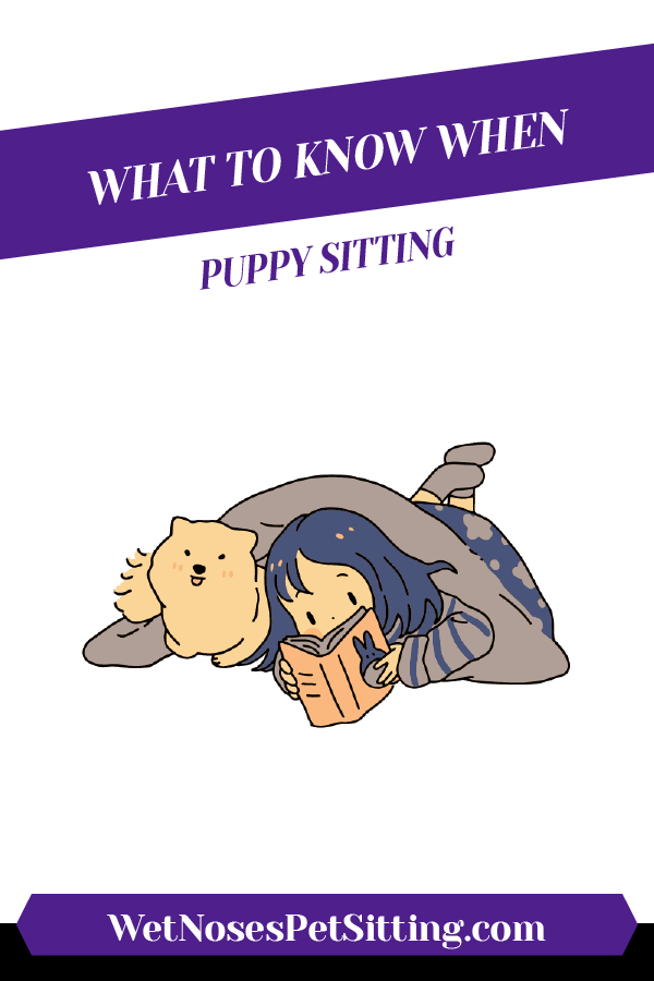 What to Know When Puppy Sitting_Header