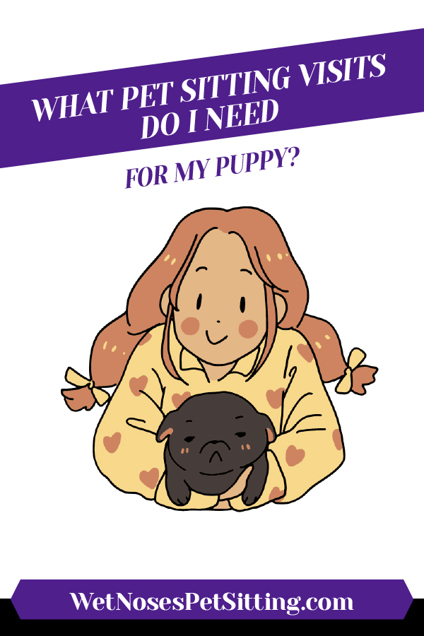 What Pet Sitting Visits Do I Need for My Puppy?_Header