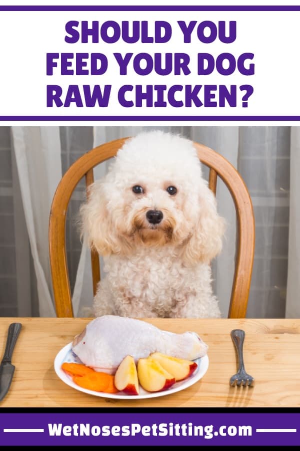 can you give puppies raw chicken