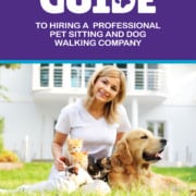 Guide to hire a pet sitter
