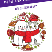 What Can Your Pets Eat on Christmas? Header