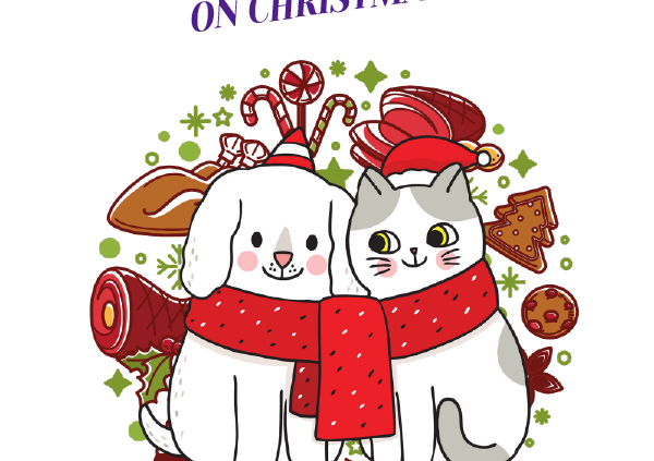 What Can Your Pets Eat on Christmas? Header