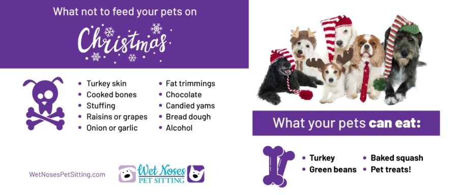 What Can Your Pets Eat on Christmas? Inforgraphic