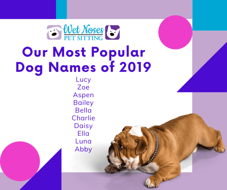 Most Popular Dog and Cat Names from 2019 - Wet Noses Pet Sitting