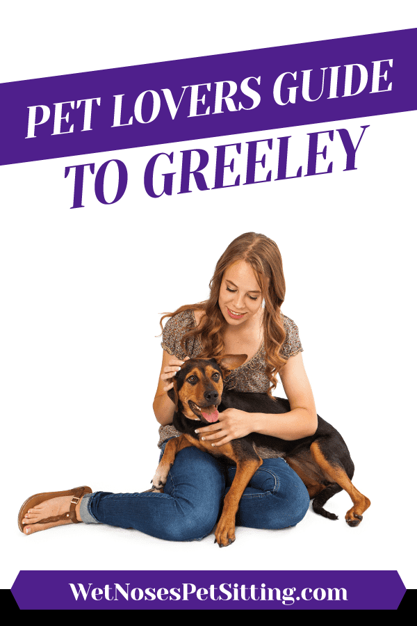 Pet Lovers Guide to Greeley - Wet Noses Pet Sitting