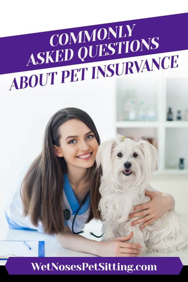 Commonly Asked Questions About Pet Insurance Header