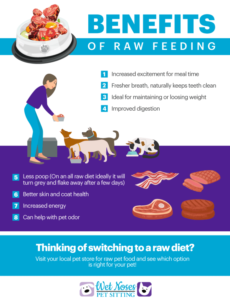 Benefits of Raw Feeding Infographic