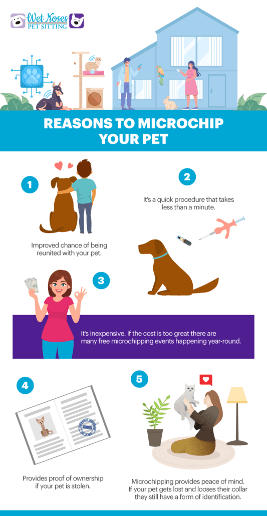 5 Reasons to Microchip Your Pet