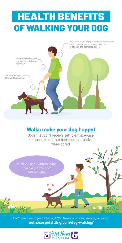 Dog Walking Benefits