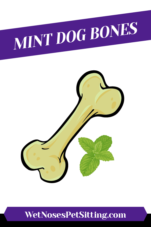 Mint Dog Bones Header