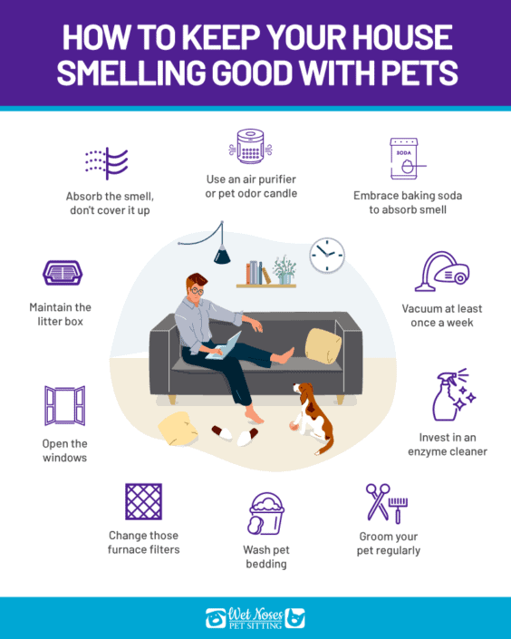 How To Keep Your House Smelling Fresh When You Have Pets Wet Noses