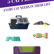5 Cat Products Every Cat Needs in their Life Header