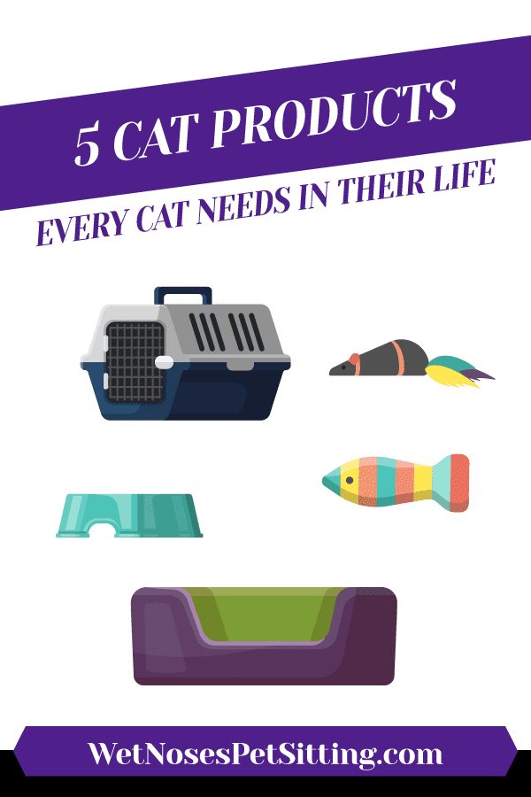 5 Cat Products Every Cat Needs in their Life Header