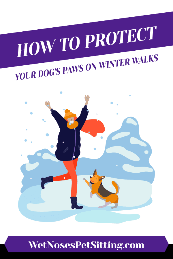 How To Protect Your Dog’s Paws on Winter Walks Header