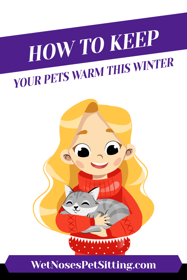 How To Keep Your Pets Warm This Winter Header