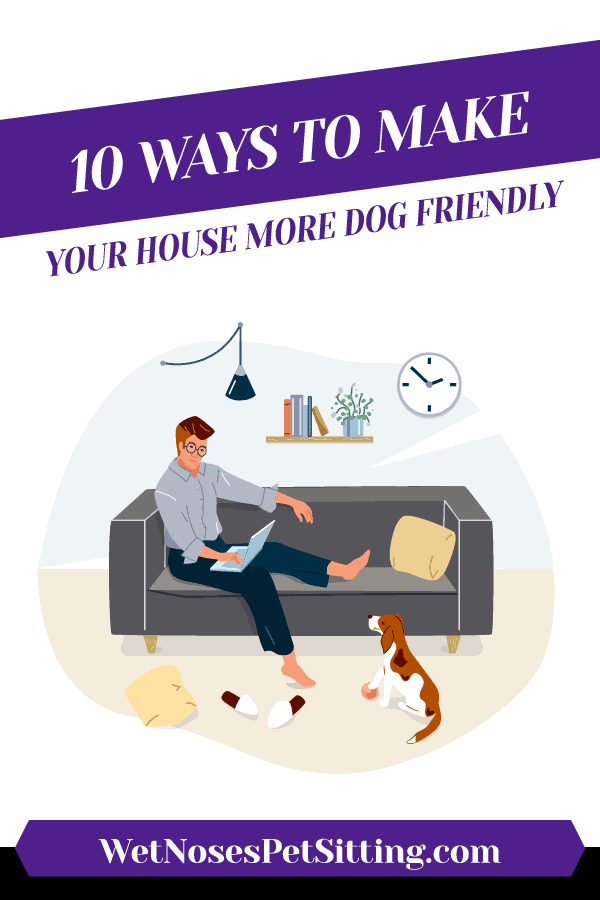 10 Ways To Make Your House More Dog Friendly Header