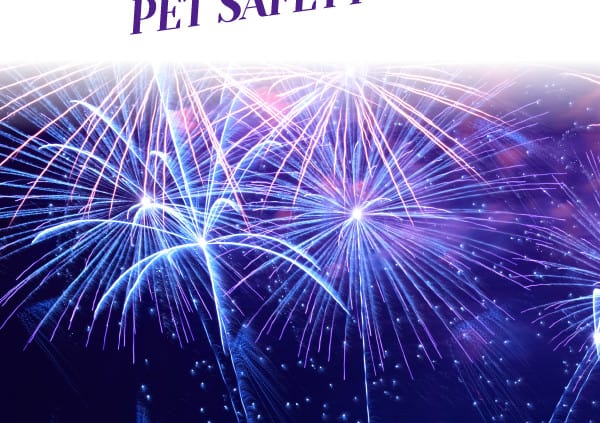 Fireworks Pet Safety Tips Header