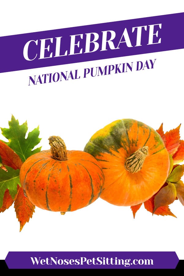 Celebrate National Pumpkin Day Header