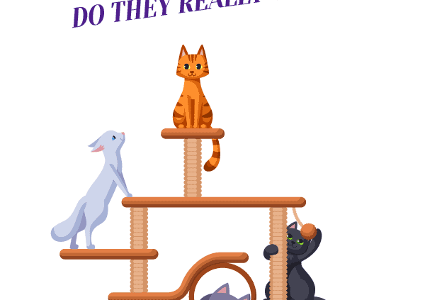 Benefits of Cat Trees: Do they really work? Header