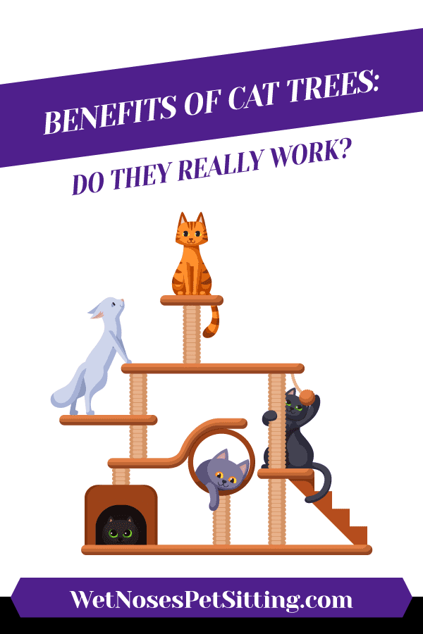 Benefits of Cat Trees: Do they really work? Header
