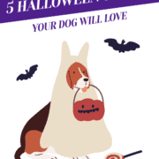 5 Halloween Treats Your Dog Will Love Header