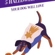5 Halloween Toys Your Dog Will Love Header