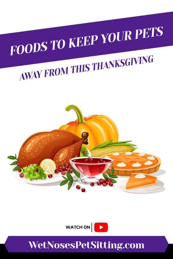 Foods To Keep Your Pets Away From This Thanksgiving Header