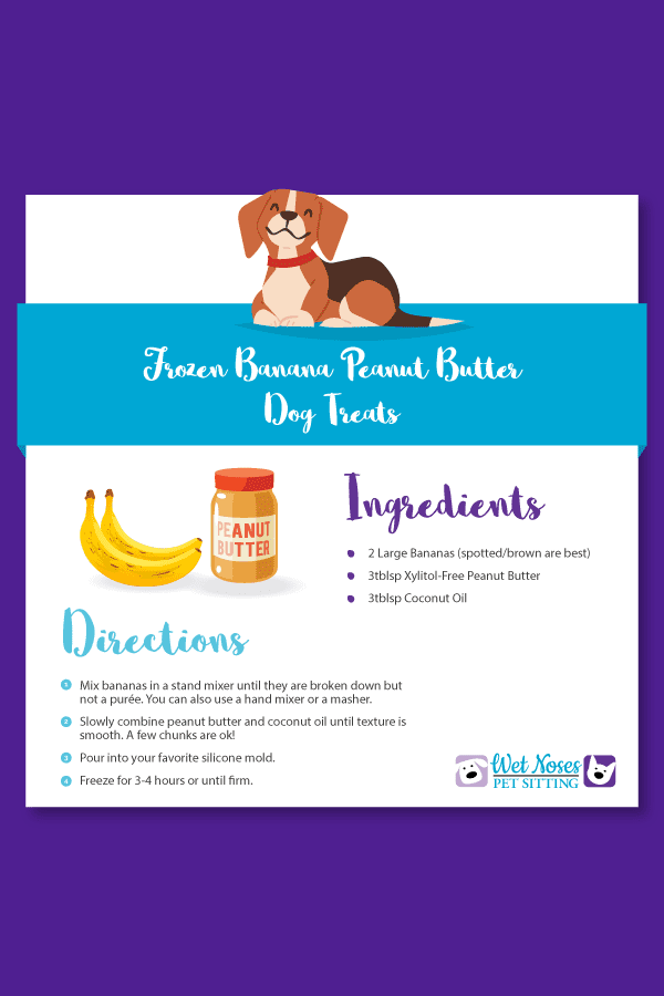 Banana Pumpkin Dog Treats Recipe Card