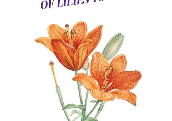 Dangers of Lilies to Cats Header