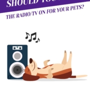 Should You Leave The Radio/TV On For Your Pets? Header