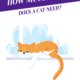 How Much Sleep Does A Cat Need?_Header