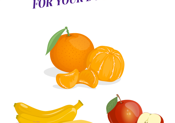 What Fruits Are Safe For Your Dog To Eat_Header