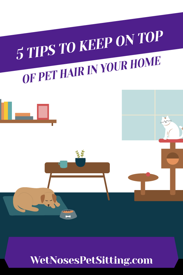 5 Tips To Keep On Top Of Pet Hair In Your Home_Header